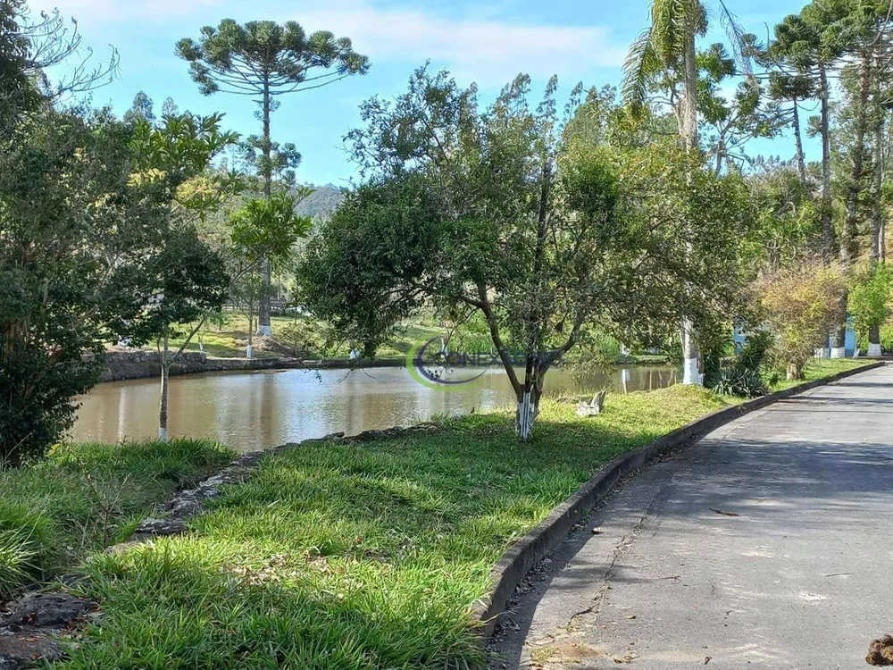 Fazenda à venda com 4 quartos, 320000000M2 - Foto 4