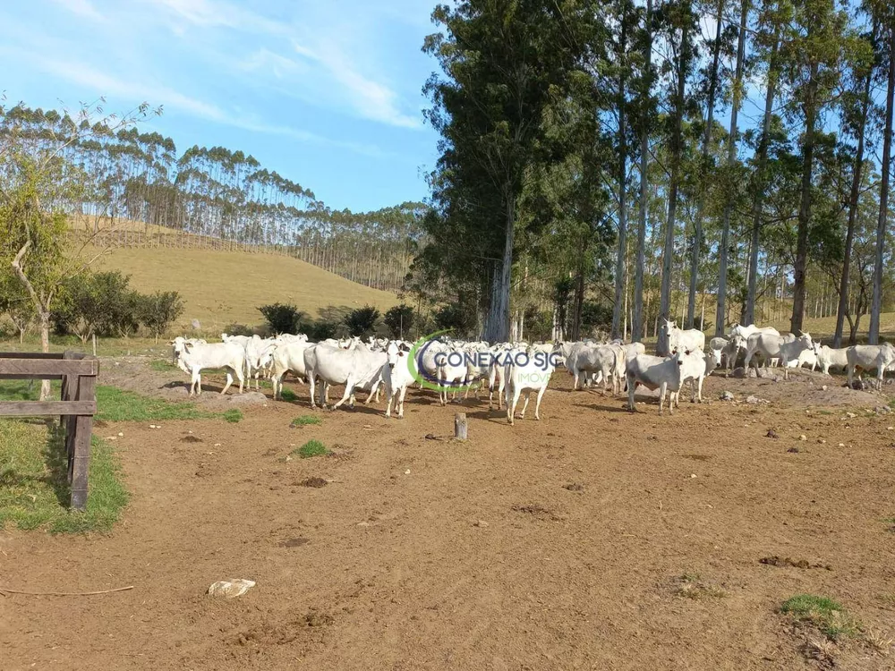 Fazenda à venda com 4 quartos, 320000000M2 - Foto 2