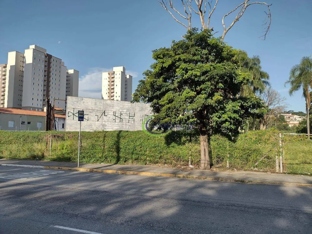 Terreno, 1 hectares - Foto 4