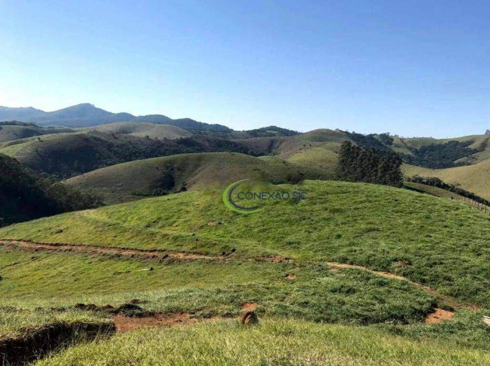 Sítio, 3 quartos, 24 hectares - Foto 18