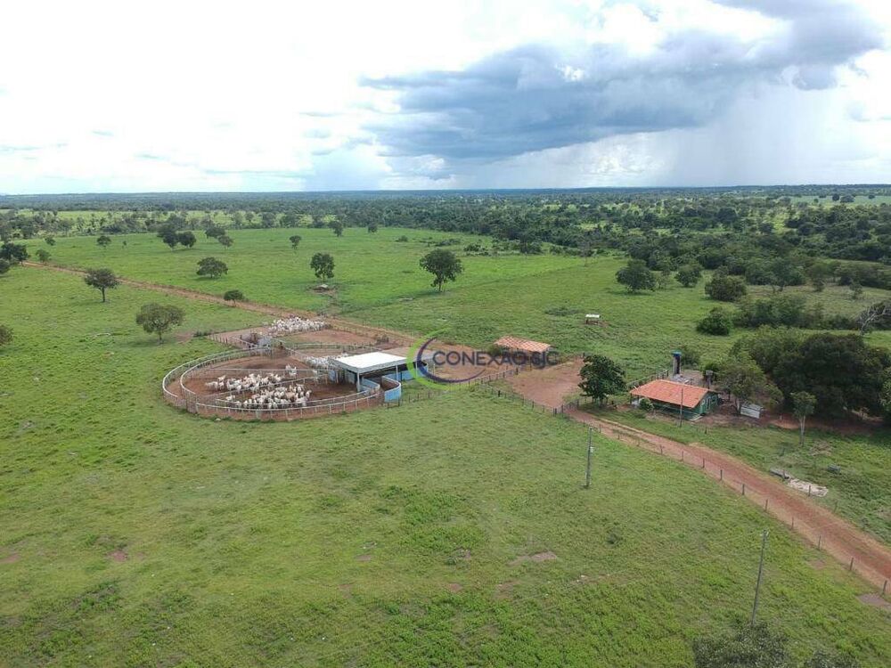 Fazenda à venda com 4 quartos, 160058800M2 - Foto 1