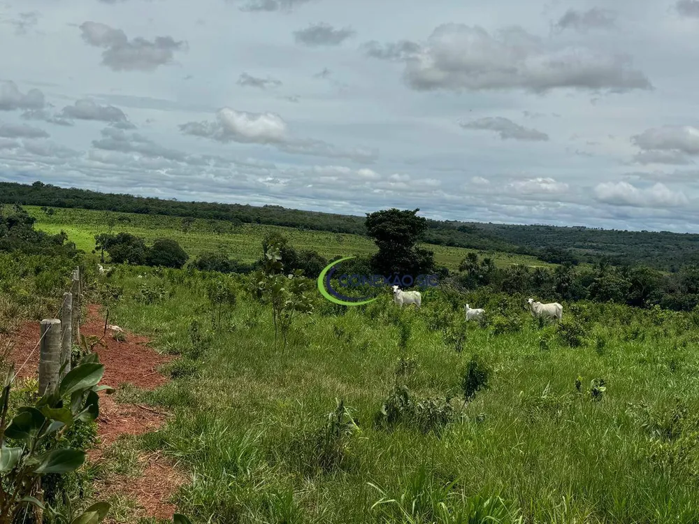 Fazenda, 1936 hectares - Foto 4
