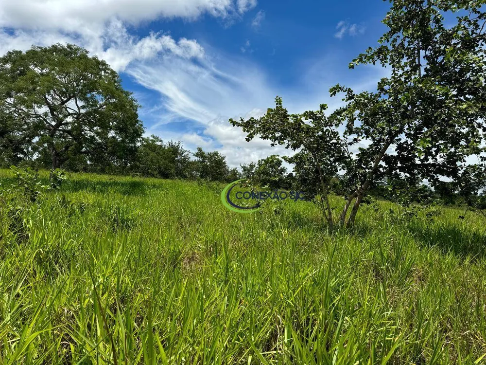 Fazenda, 1936 hectares - Foto 12
