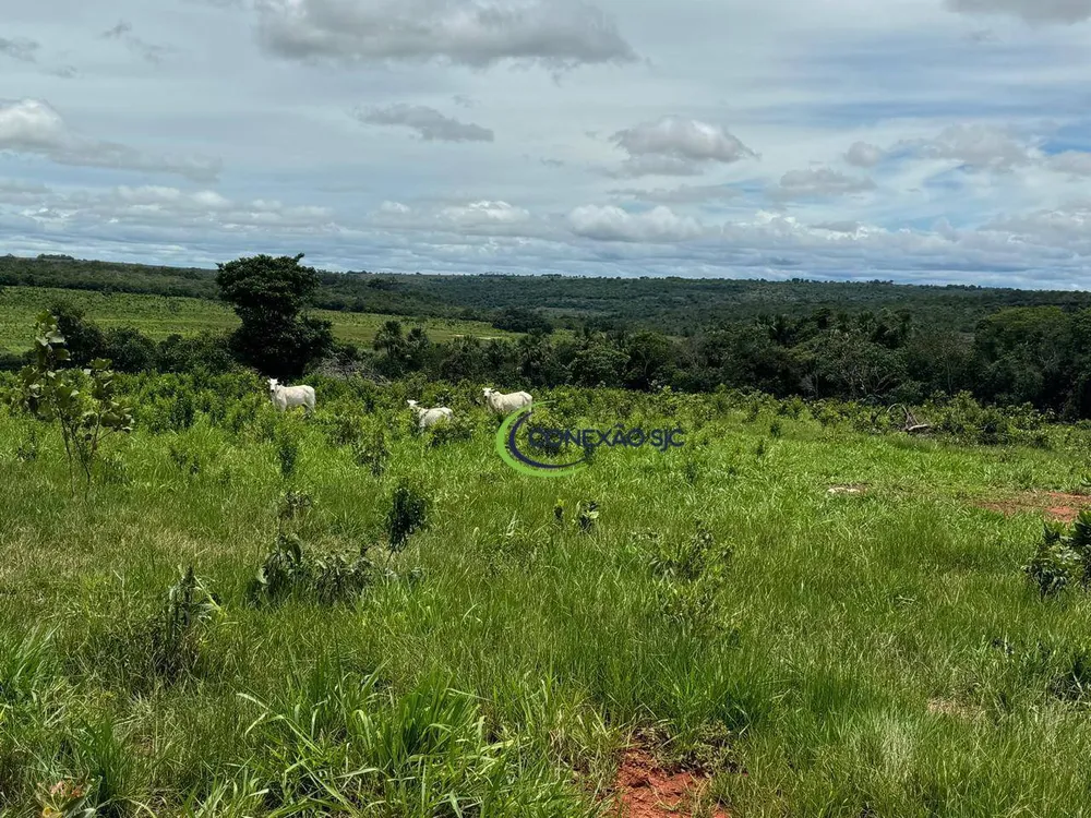 Fazenda, 1936 hectares - Foto 8