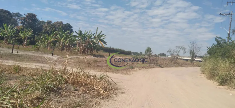 Terreno, 5 hectares - Foto 12