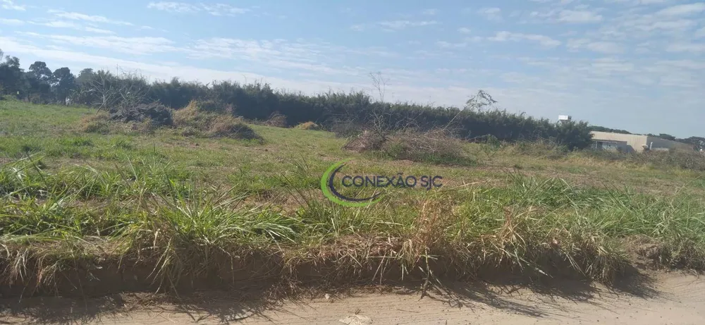 Terreno, 5 hectares - Foto 16