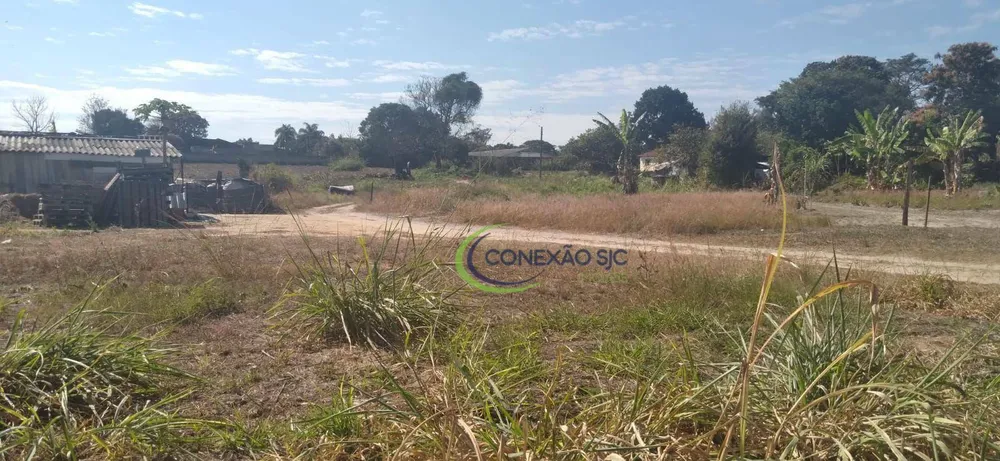Terreno, 5 hectares - Foto 10