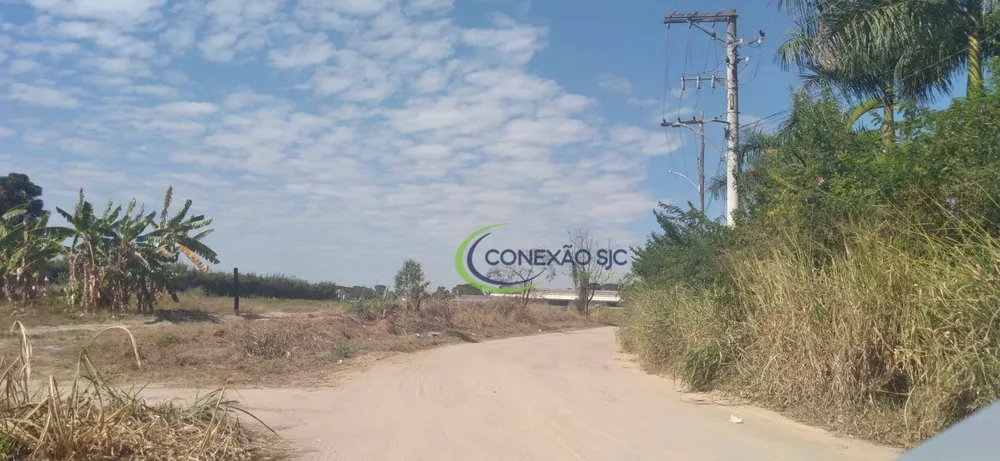 Terreno, 5 hectares - Foto 14