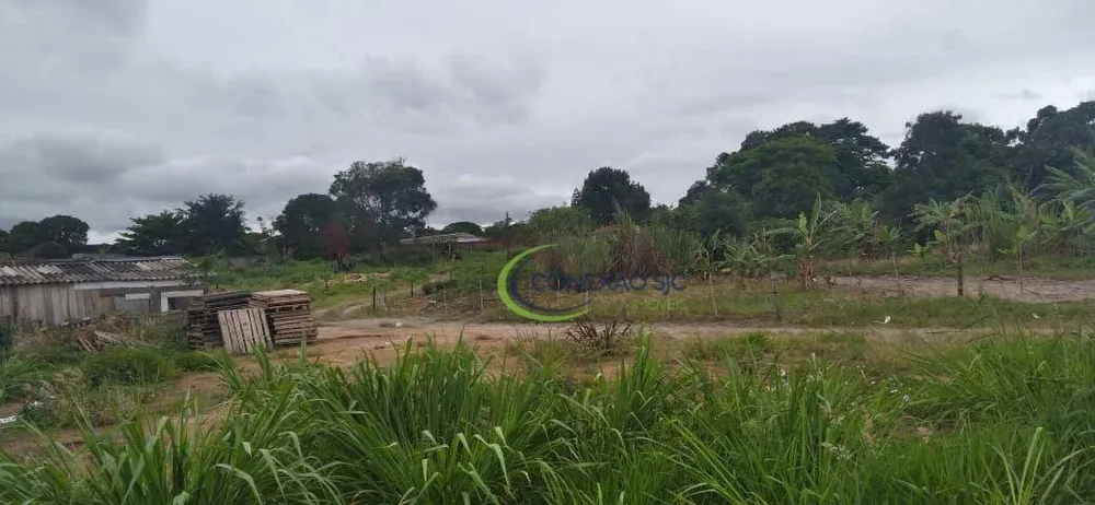 Terreno, 5 hectares - Foto 4