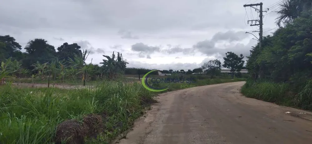 Terreno, 5 hectares - Foto 8