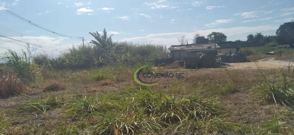 Terreno, 5 hectares - Foto 11
