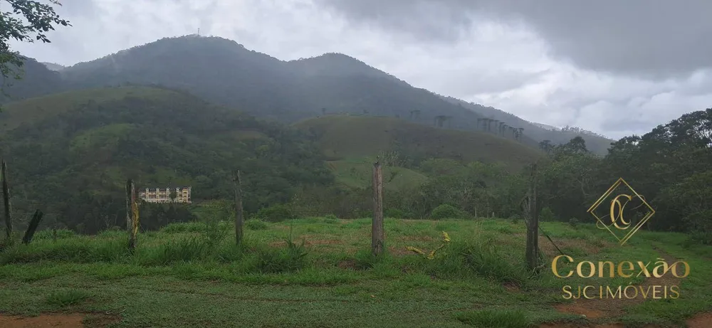 Sítio, 3 quartos, 3 hectares - Foto 4
