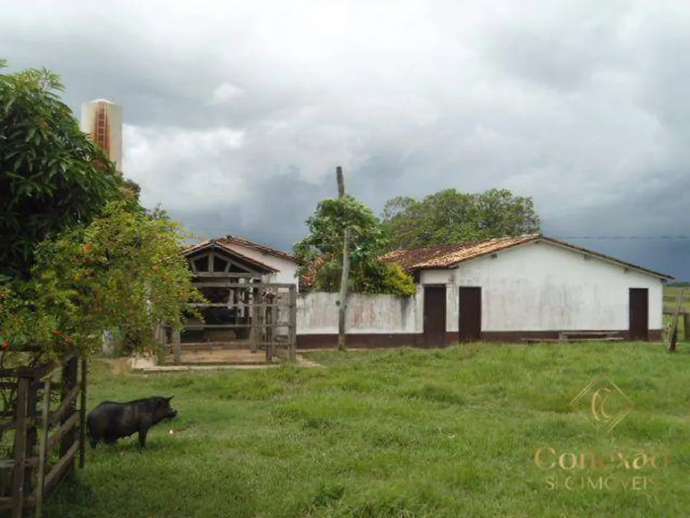 Fazenda, 879450785 hectares - Foto 6