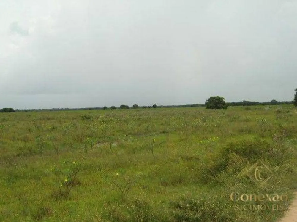 Fazenda, 879450785 hectares - Foto 1