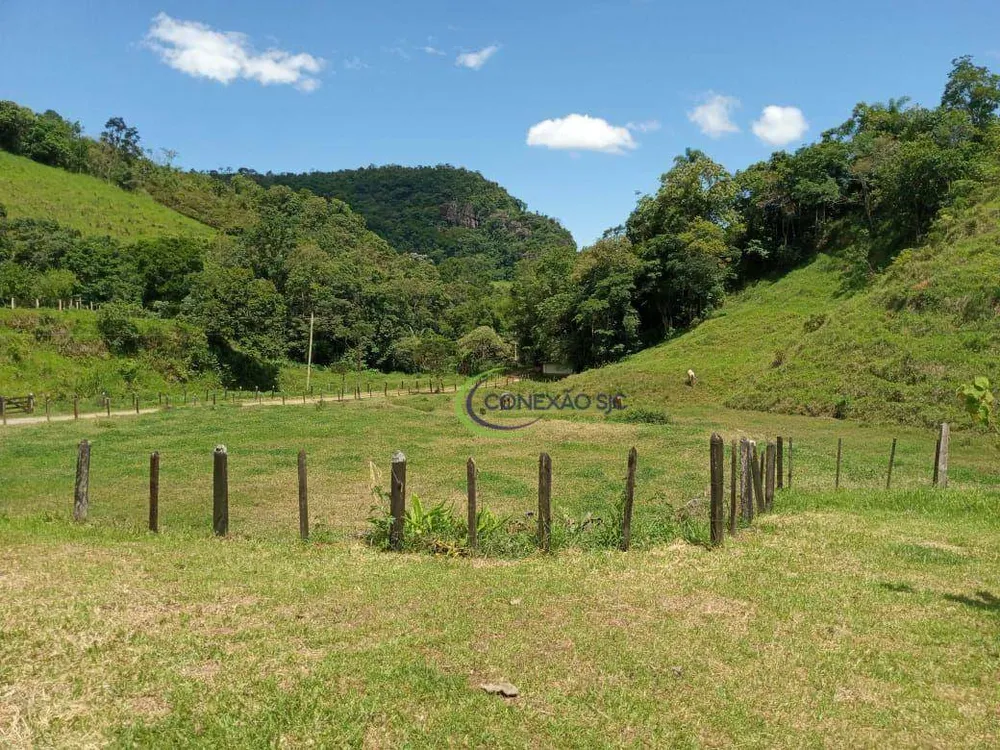 Fazenda, 136 hectares - Foto 6