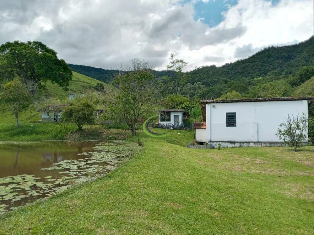 Fazenda, 136 hectares - Foto 8