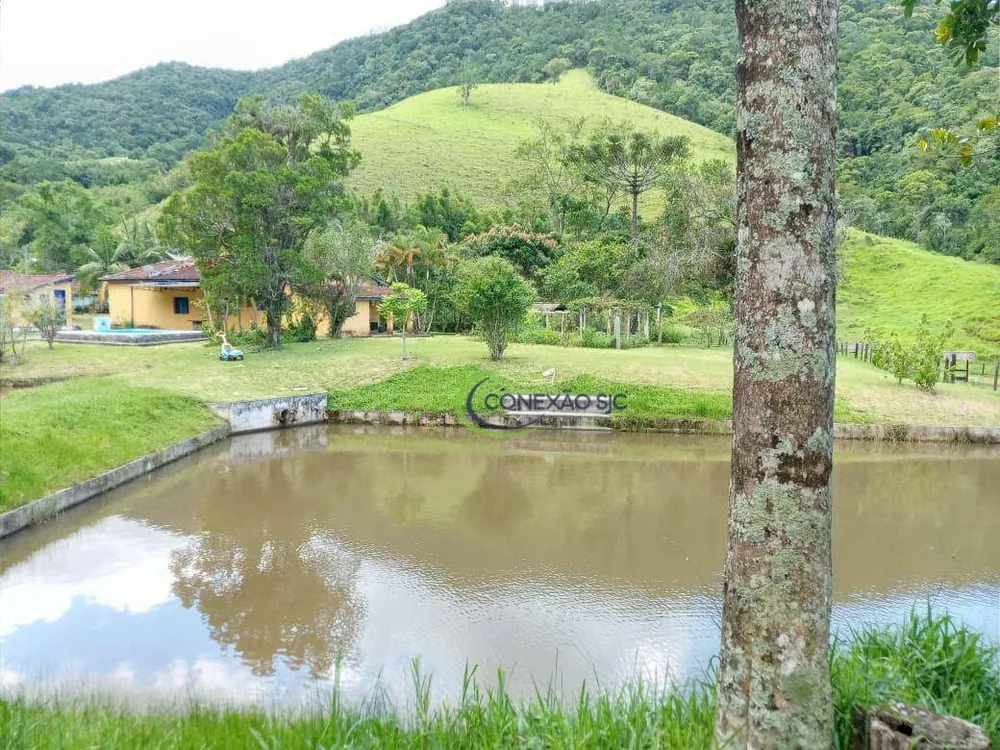 Fazenda, 136 hectares - Foto 12