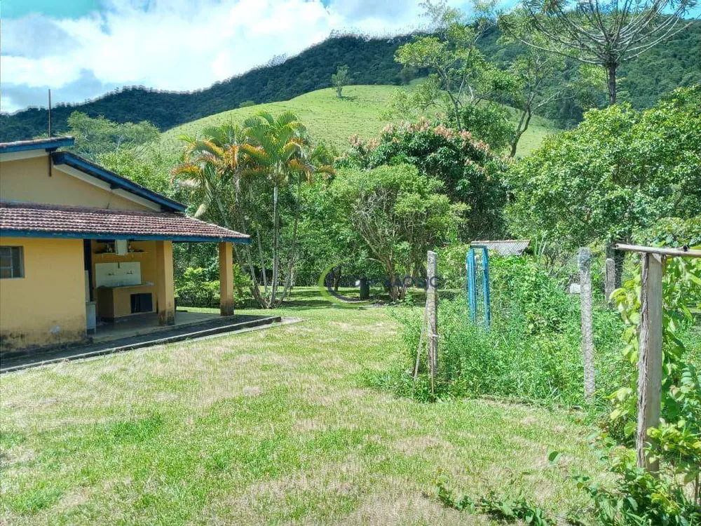 Fazenda, 136 hectares - Foto 10