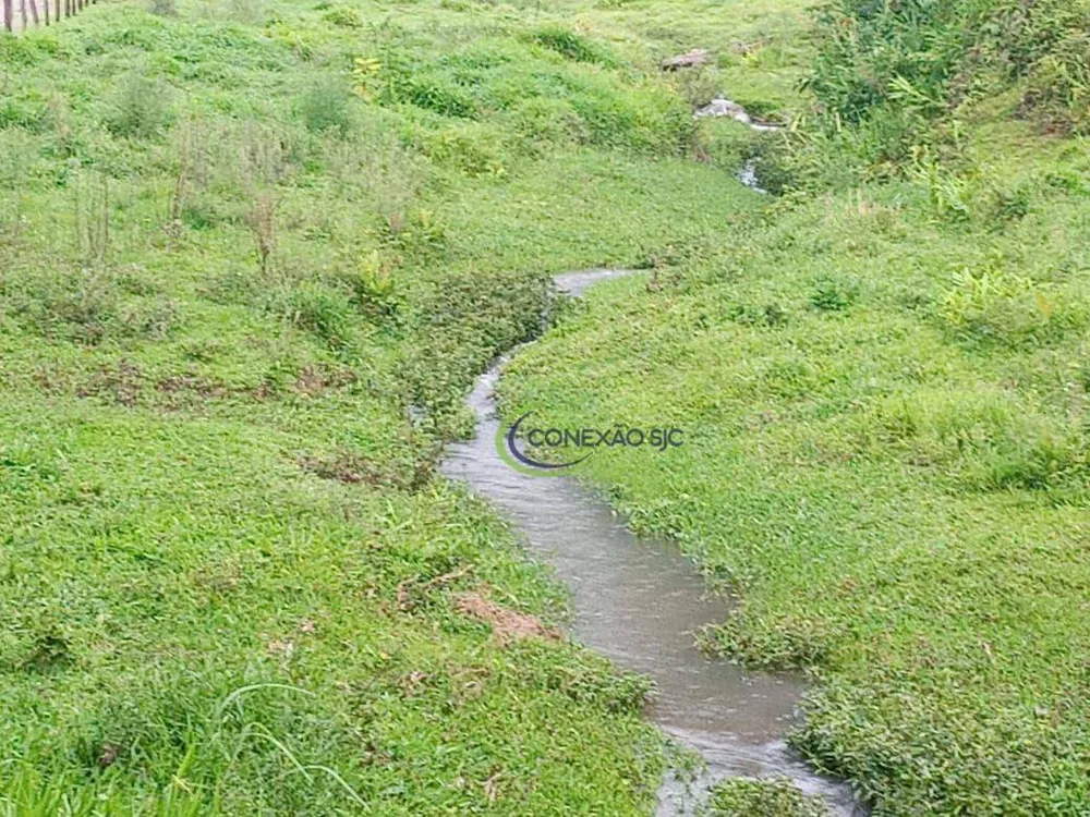 Fazenda, 136 hectares - Foto 11