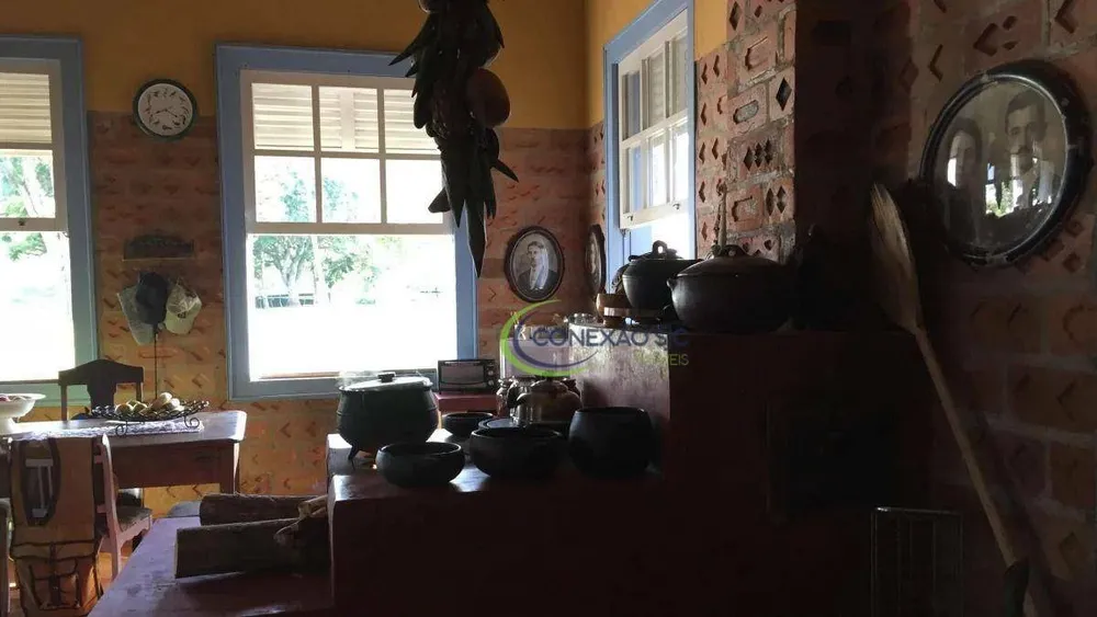 Fazenda, 120 hectares - Foto 7