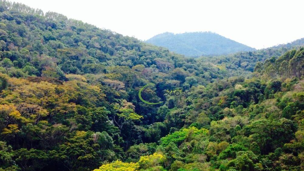 Fazenda, 120 hectares - Foto 4