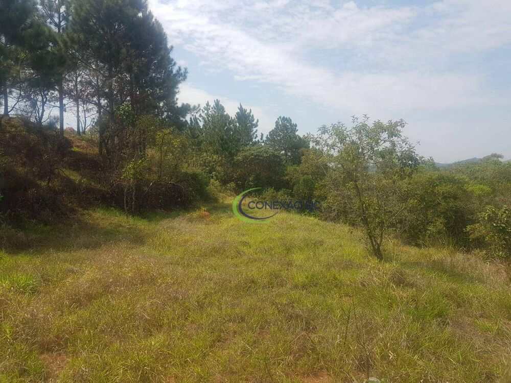 Fazenda, 120 hectares - Foto 11