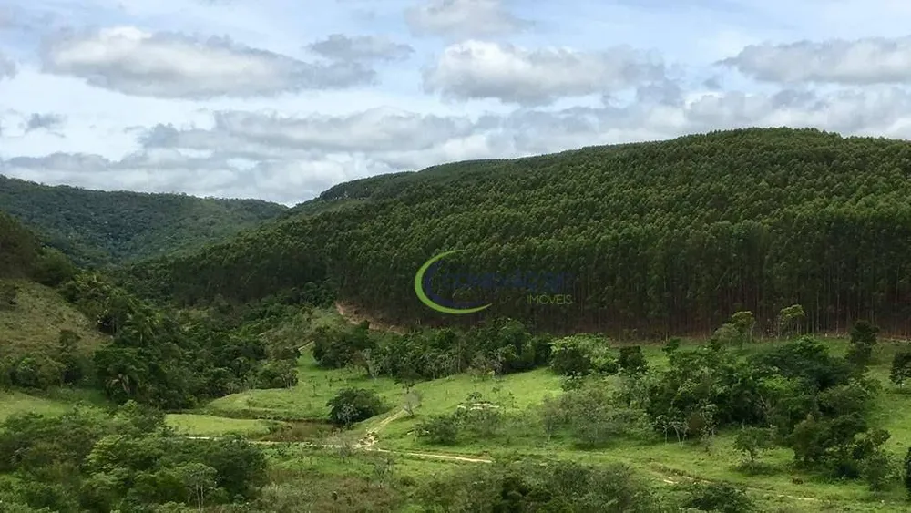 Fazenda, 120 hectares - Foto 13
