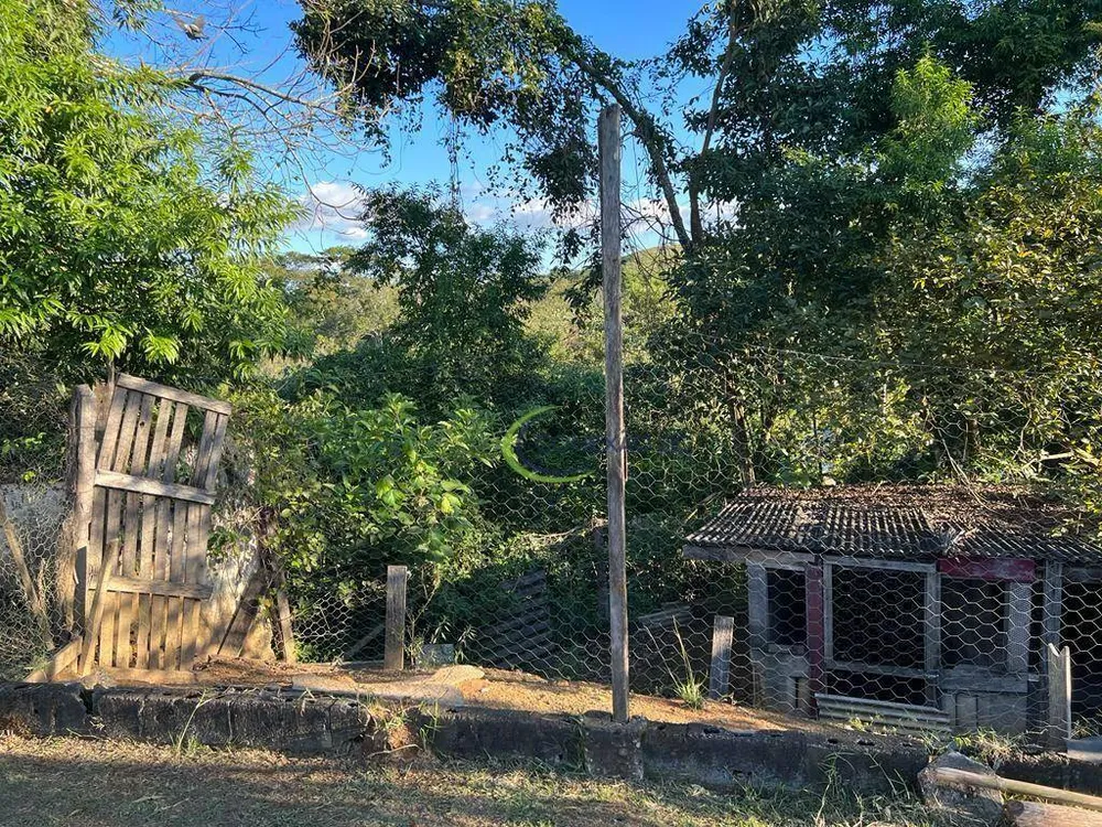 Chácara, 4 quartos, 3 hectares - Foto 9