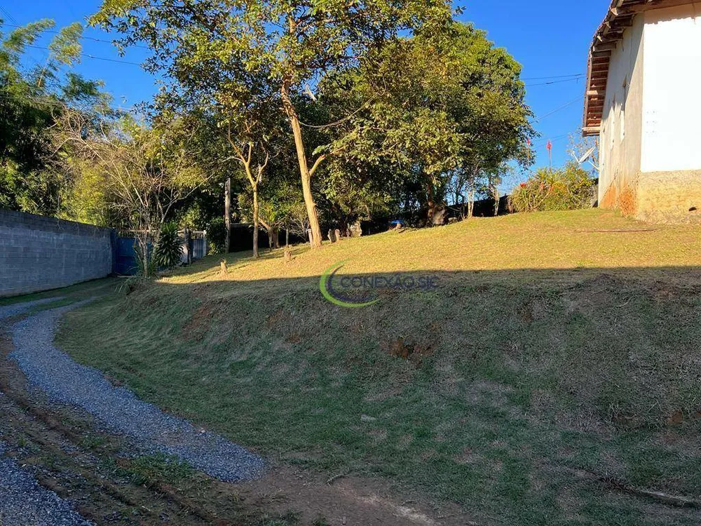 Chácara, 4 quartos, 3 hectares - Foto 14