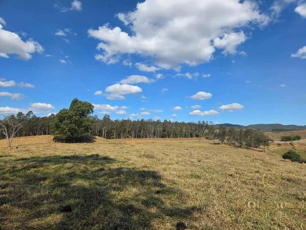 Fazenda, 1086 hectares - Foto 7