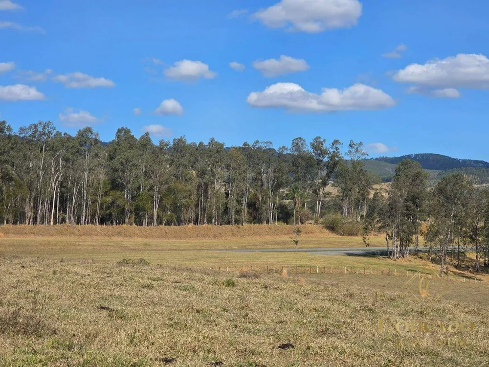 Fazenda, 1086 hectares - Foto 8