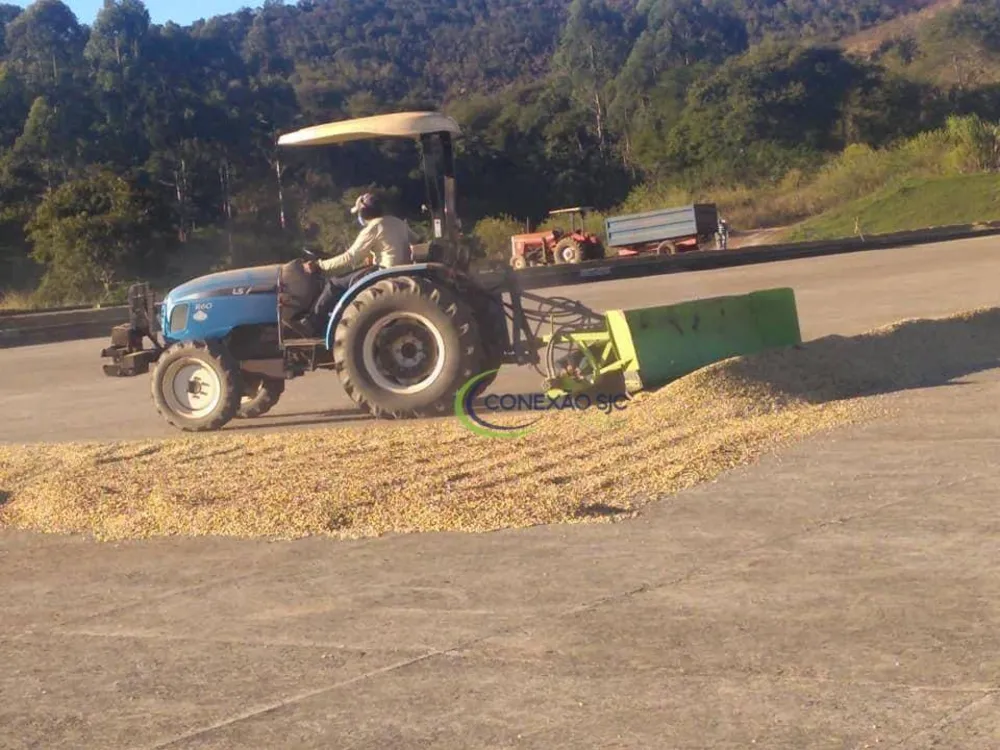 Fazenda, 4714 hectares - Foto 6