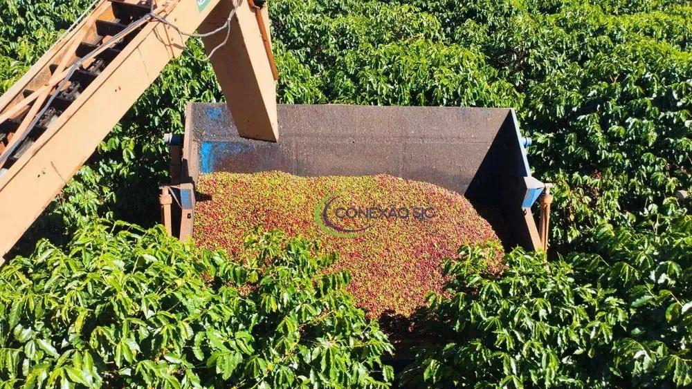 Fazenda, 4714 hectares - Foto 3