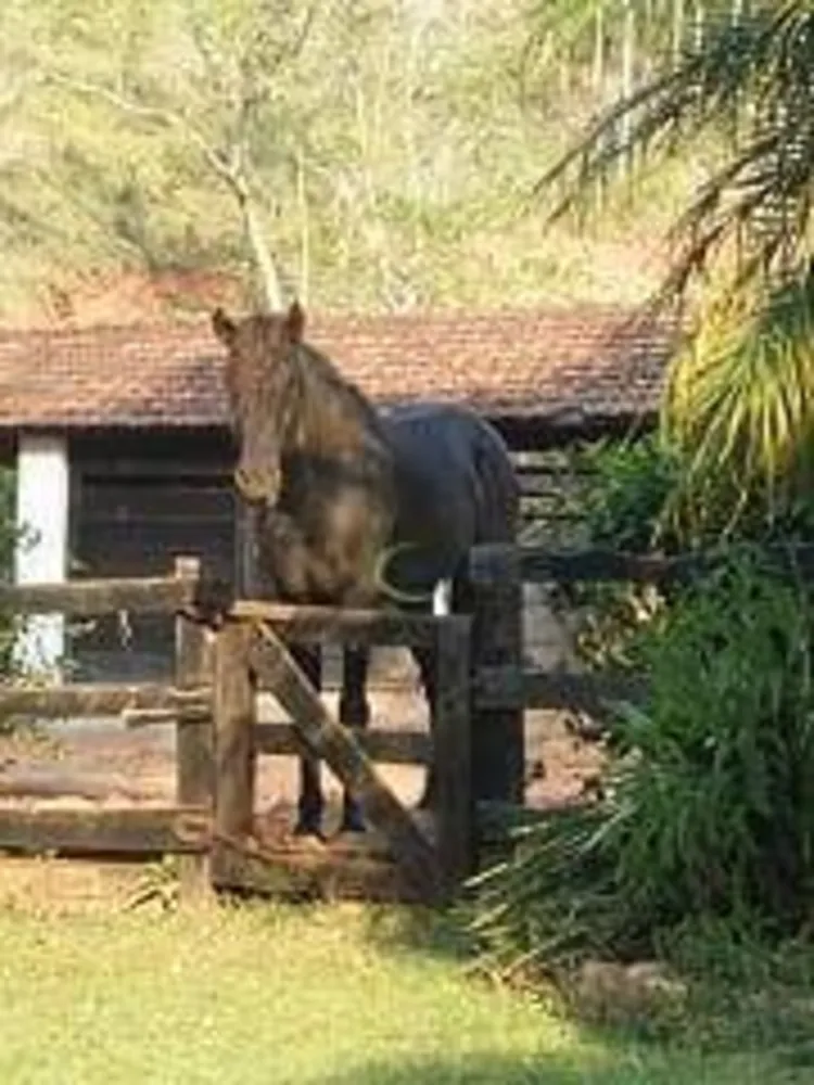 Fazenda, 9 hectares - Foto 8