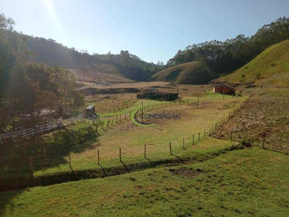 Fazenda, 108 hectares - Foto 6
