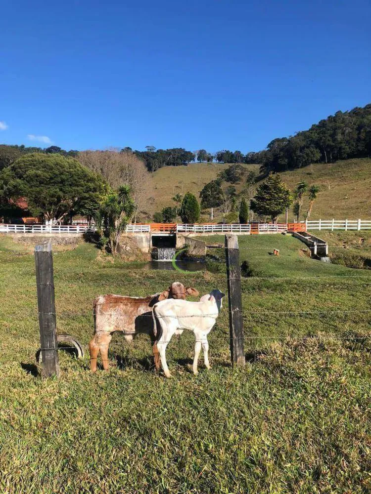 Fazenda, 108 hectares - Foto 9
