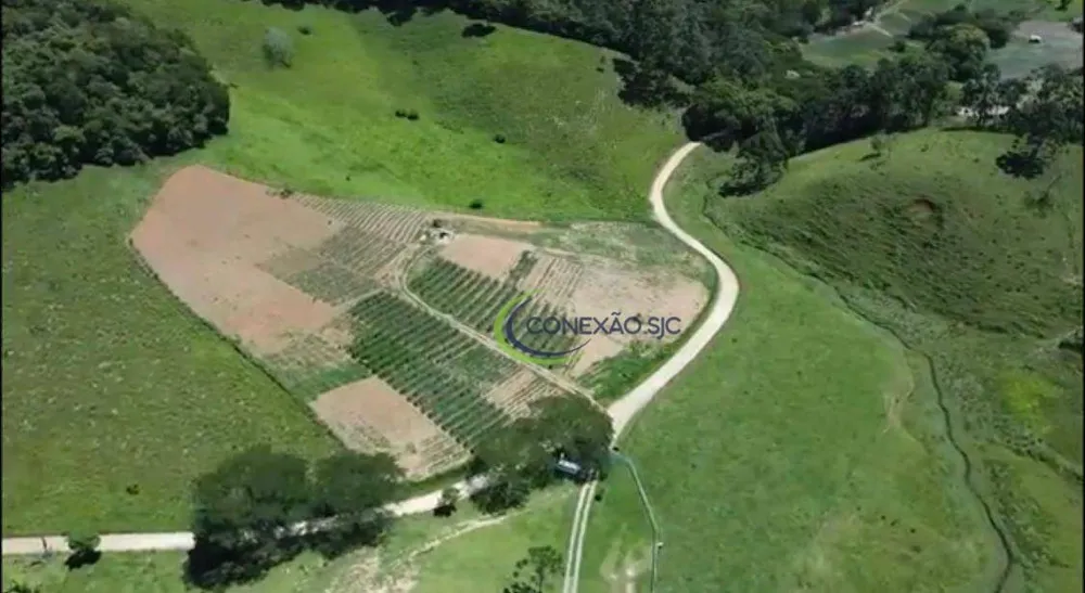 Fazenda, 108 hectares - Foto 12