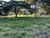 Loteamento e Condomínio, 1000 m² - Foto 2