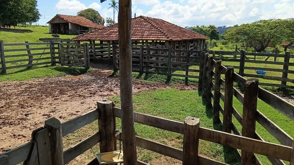 Fazenda, 494 hectares - Foto 2