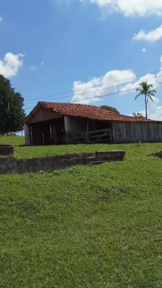 Fazenda, 494 hectares - Foto 1