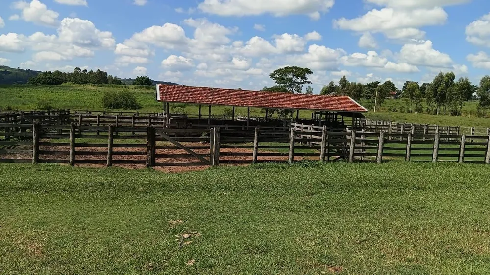Fazenda, 494 hectares - Foto 5
