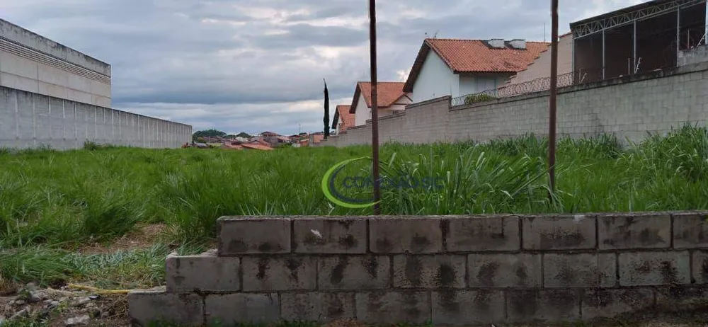 Terreno, 3000 m² - Foto 6