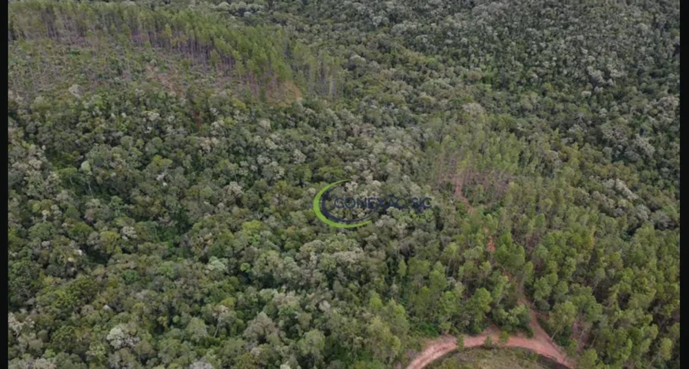 Fazenda, 121 hectares - Foto 1