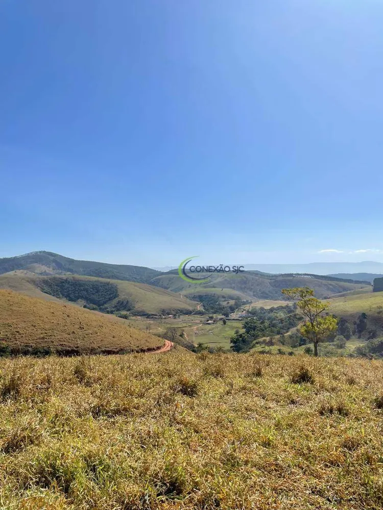 Fazenda, 515 hectares - Foto 4