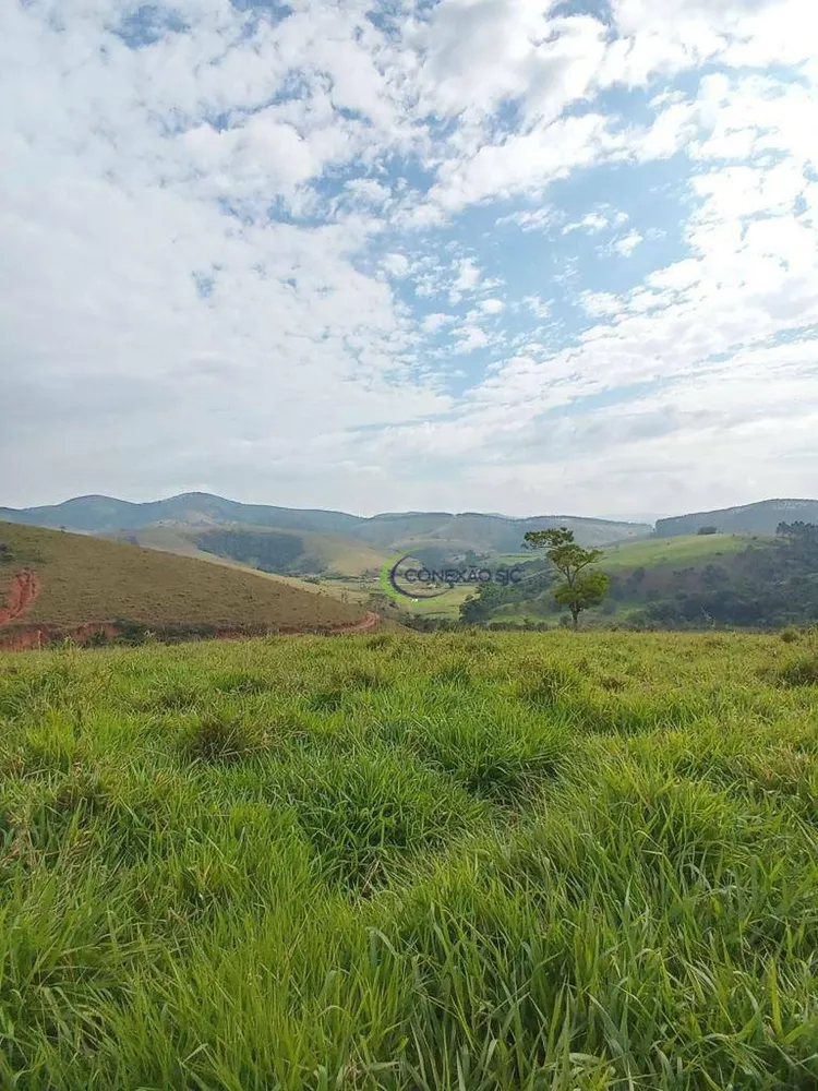 Fazenda, 515 hectares - Foto 8