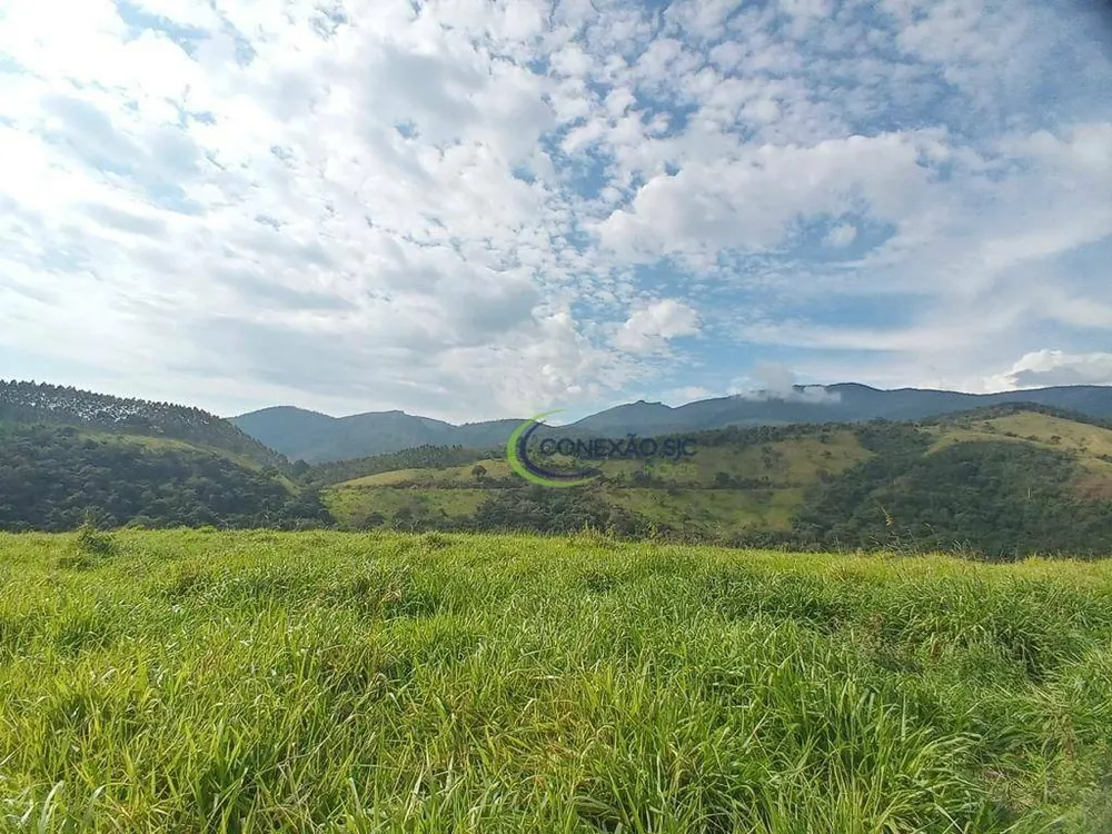 Fazenda, 515 hectares - Foto 2