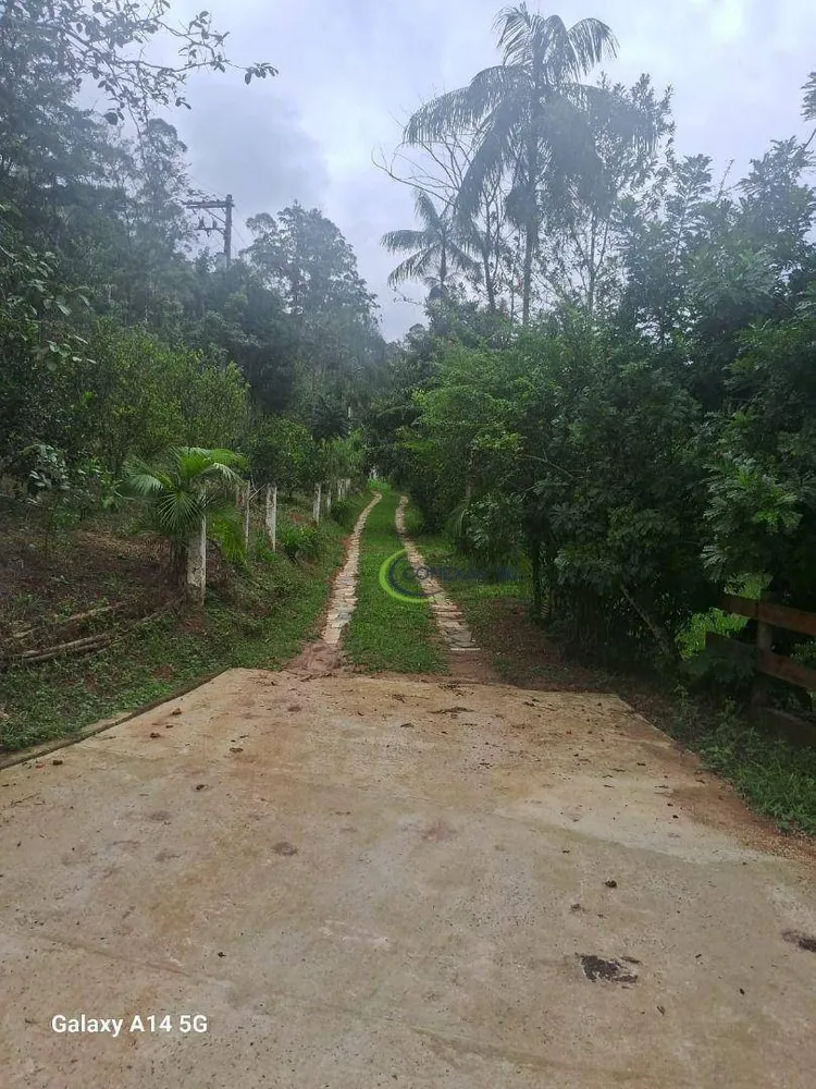Chácara, 2 quartos, 2 hectares - Foto 4