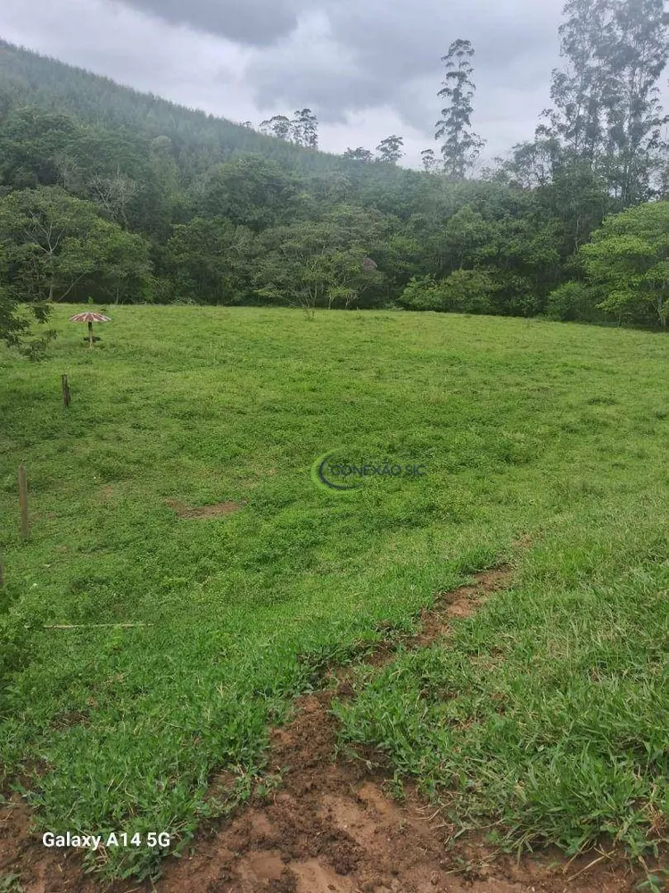 Chácara, 2 quartos, 2 hectares - Foto 1