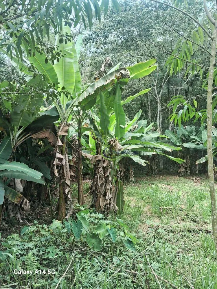 Chácara, 2 quartos, 2 hectares - Foto 3