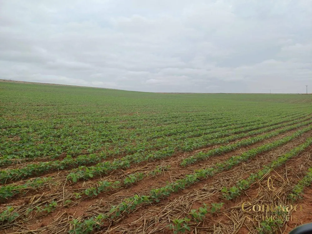 Fazenda, 1660 hectares - Foto 1